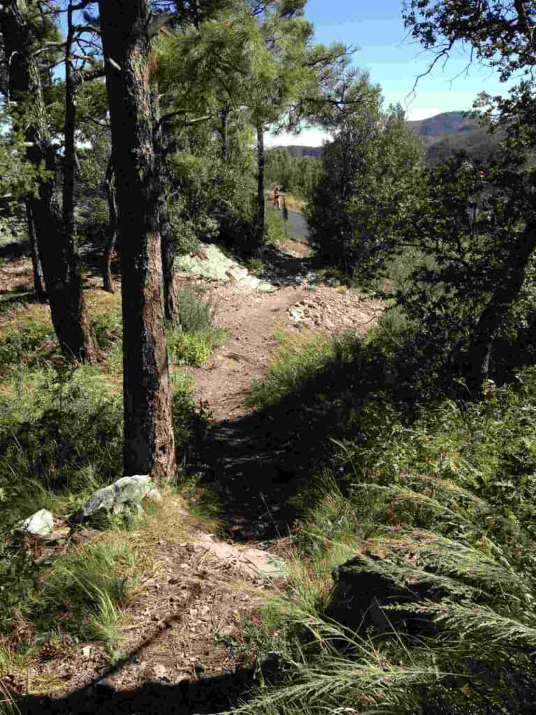 on the trail from emory pass