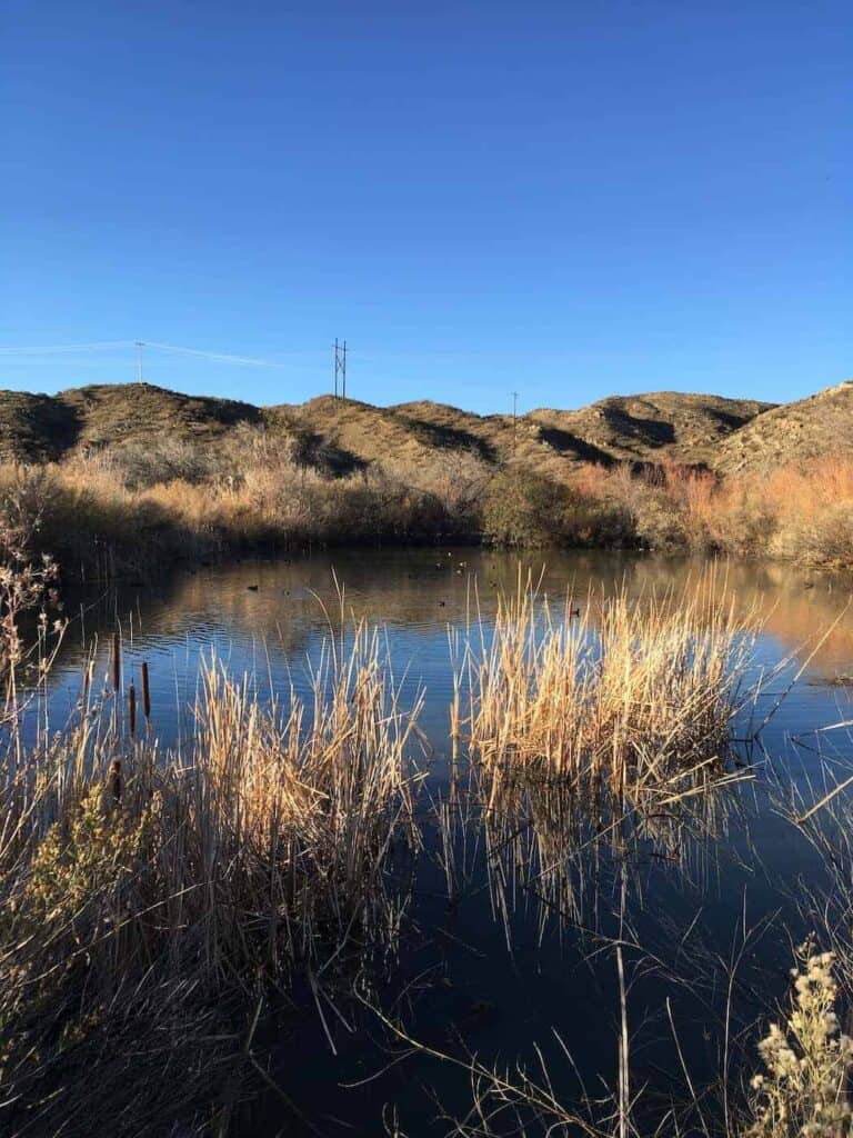 pond at fish hatchery park