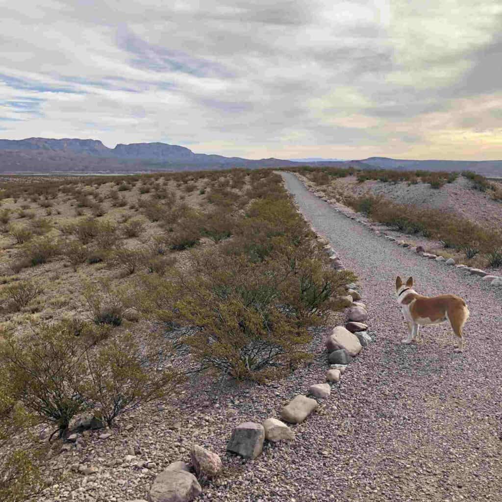 trail at Elephant Butte near South Monticello campground