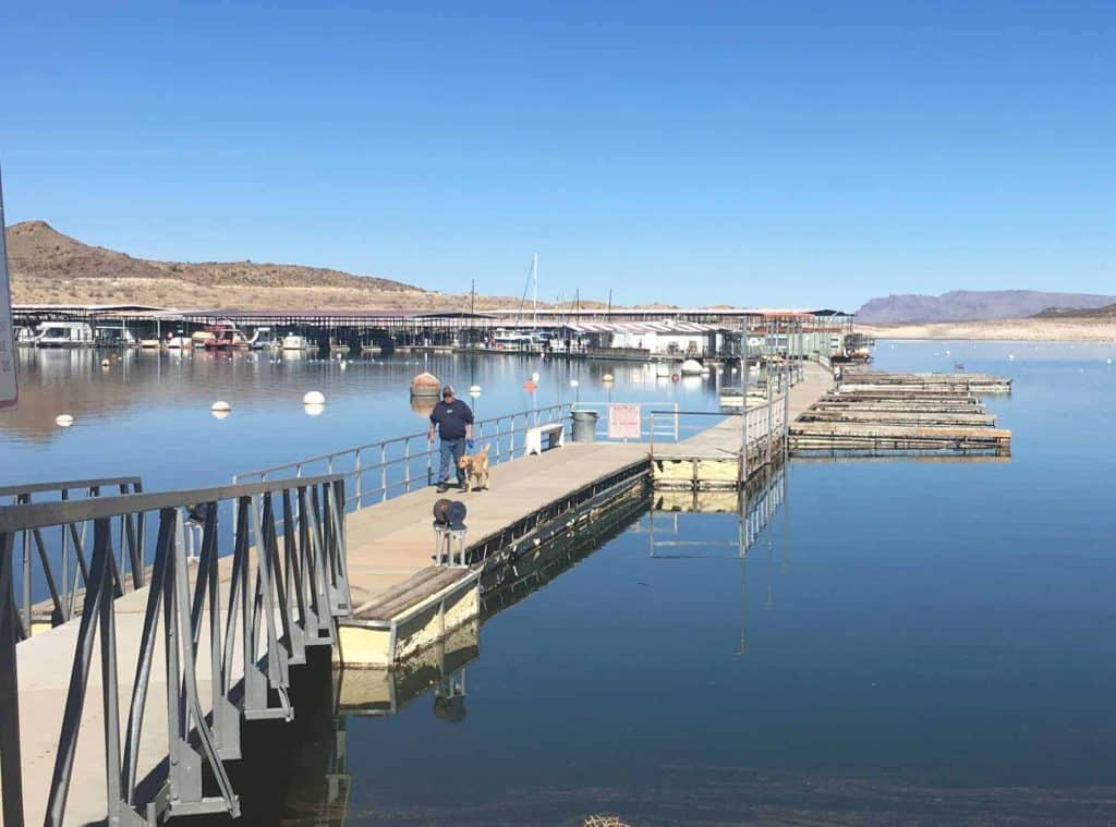 dam site marina dogs welcome on the dock