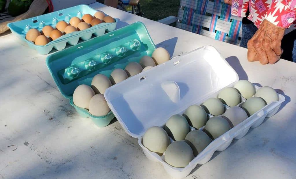 fresh eggs at the sierra county farmers market