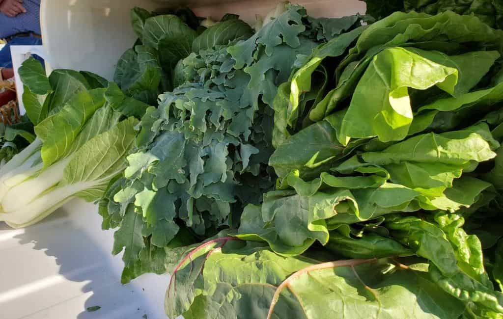 fresh lettuce at the sierra county farmers market