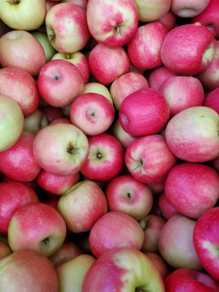 october apples