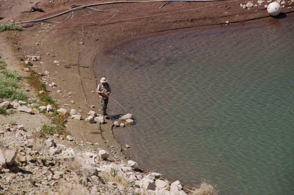 shore fishing at elephant butte lake