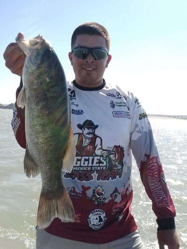 small mouth bass caught at elephant butte lake