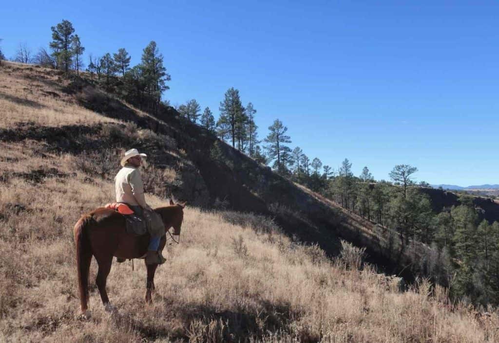 geronimo trail guest cabins and dude ranch