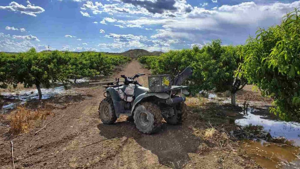 valhalla orchards pick your own fruit facility