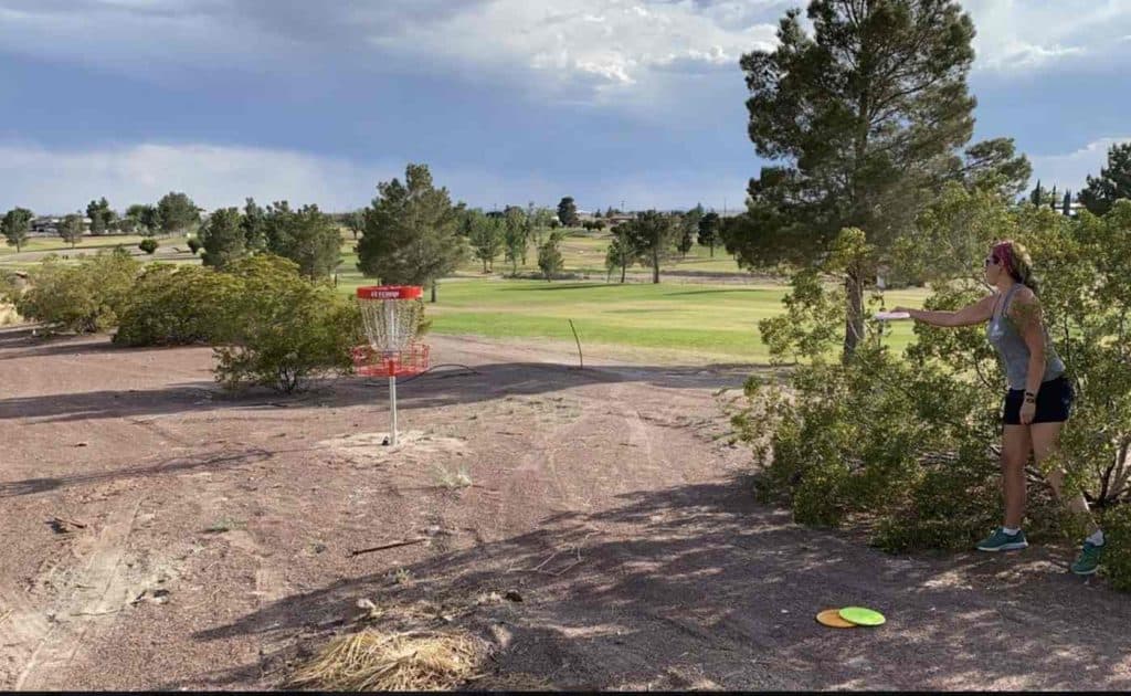 disk golf course yellow baskets torc municipal course