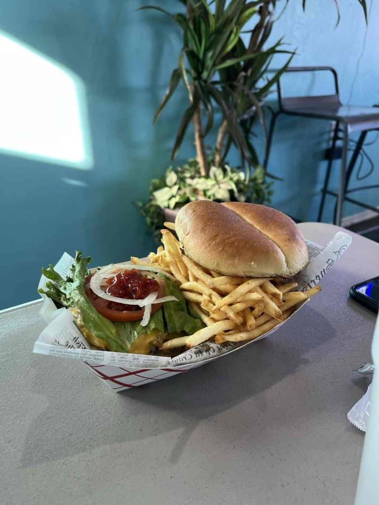 cheeseburger from casa taco in elephant butte