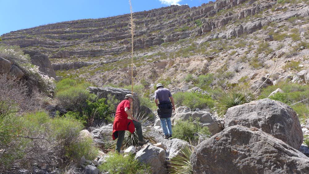 hiking on the armendaris ranch