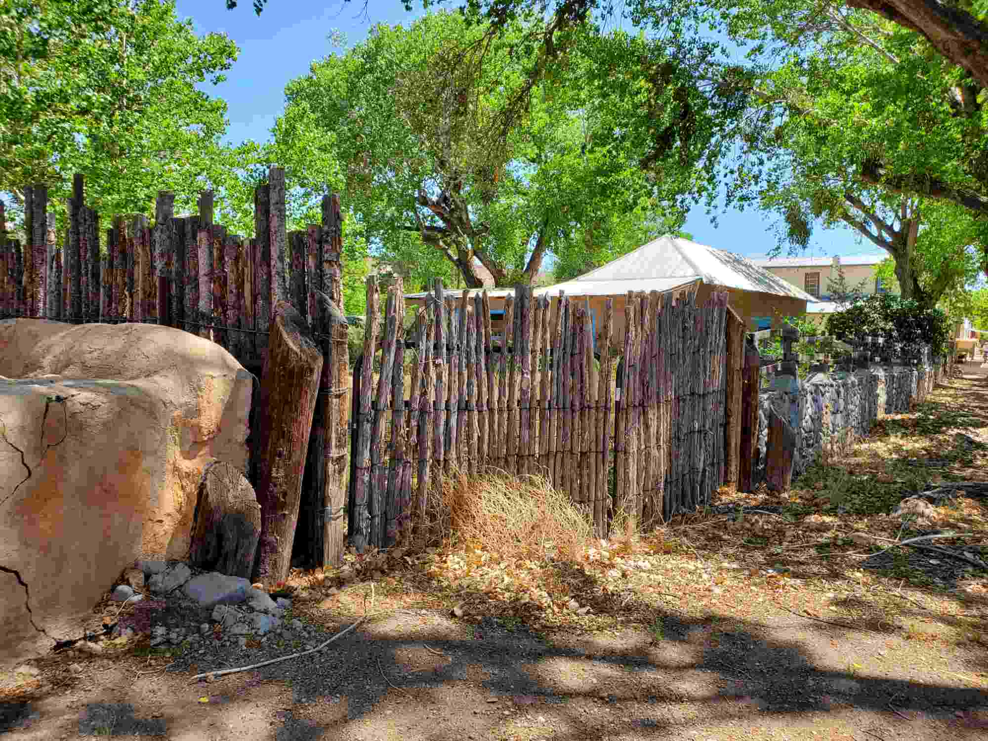 hillsboro coyote fence and cottonwoods