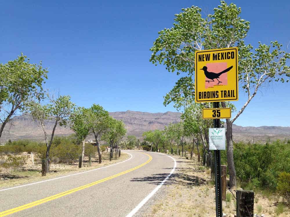 caballo lake state park birding area