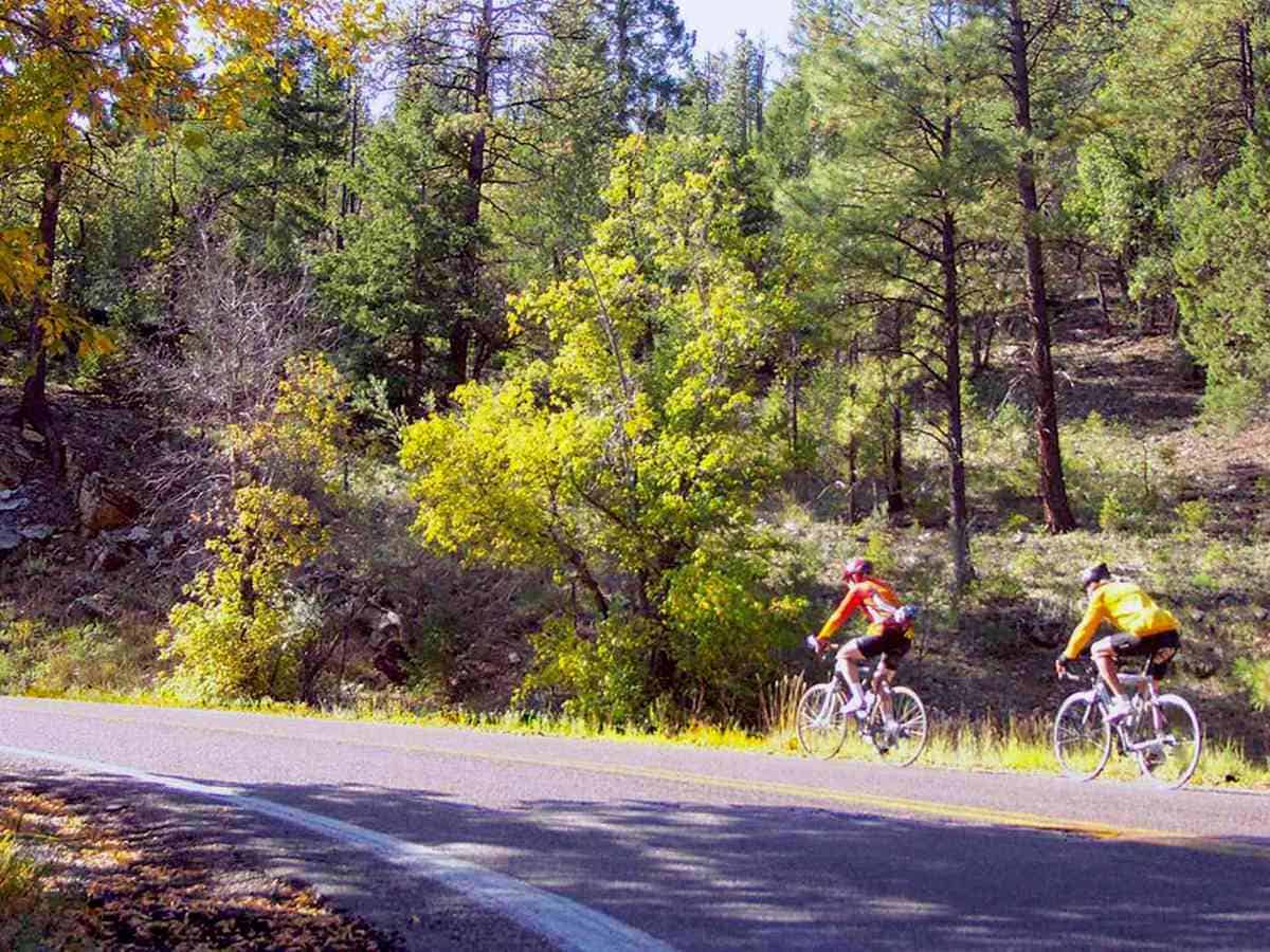 road biking in the gila