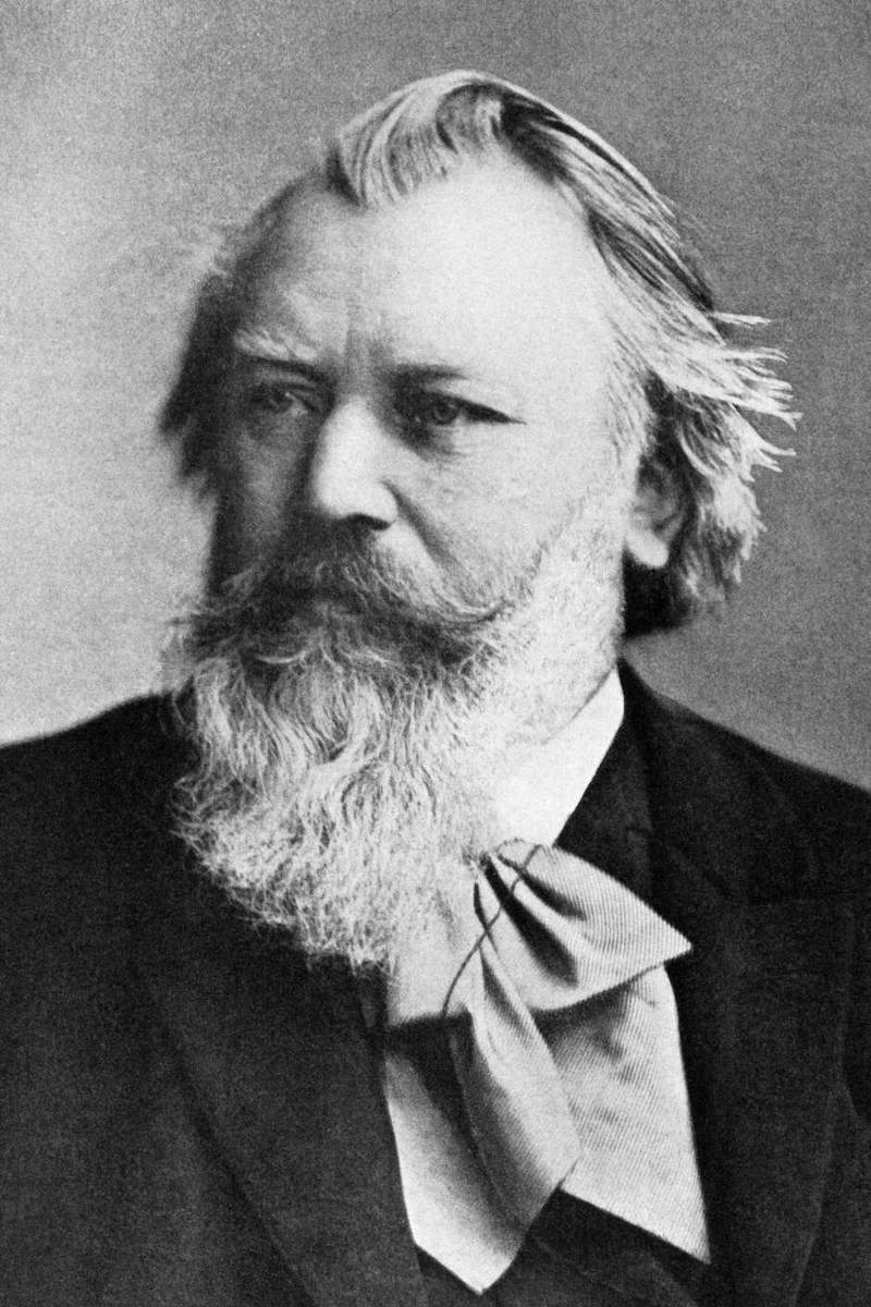 johannes brahms camerata del sol