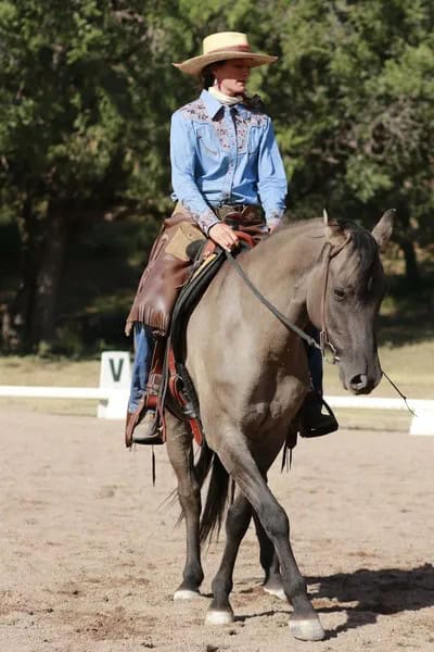 Enchanted horse dressage course